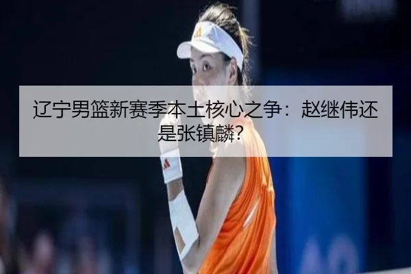 辽宁男篮新赛季本土核心之争：赵继伟还是张镇麟？